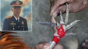Perwira Polisi Tewas Diserang Ayam