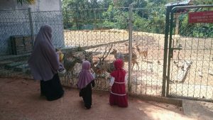 BP Batam Kebut Bangun Tempat-Tempat Wisata