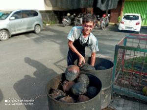 Kelapa Bakar, Bikin Lebih Strong dan Jantan