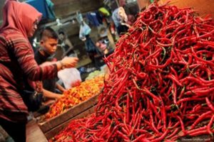Ibu Rumah Tangga Menjerit, Harga Sembako Melonjak Tajam