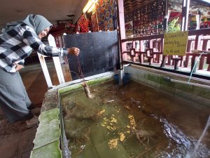 Golden Prawn Bengkong Promo Besar-besaran, Diskon Harga 40 Persen