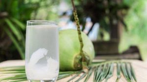 Minum Air Kelapa Muda Bisa Netralisir Vaksin Covid-19, Kadinkes Batam: Saya Suka Minum Air Kelapa Muda