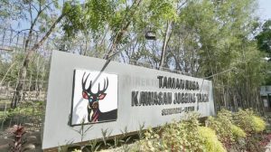 Kunjungan Wisatawan ke Batam Semakin Meningkat