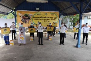 Maknai Idul Adha Saat Pandemi Covid-19, bright PLN Batam Salurkan Hewan Qurban 13 Sapi dan 39 Ekor Kambing