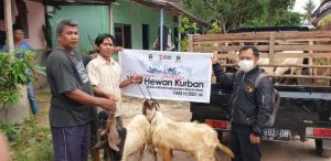 Putra Siregar Sumbangkan 1000 Hewan Kurban