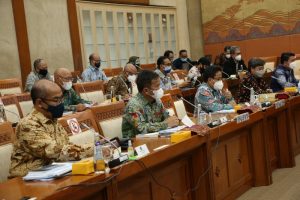BP Batam Laporkan Realisasi Anggaran 2021 Dalam RDP bersama Komisi VI DPR RI