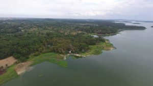 PT TDK Electronics Indonesia Gelar Penanaman Pohon Bersama BP Batam