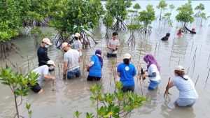BP Batam dan PT TDK Tanam Seribu Mangrove di Waduk Tembesi