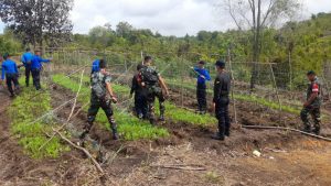 Lanud Hang Nadim dan Ditpam BP Batam Tertipkan Perkebunan di KKOP
