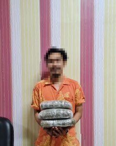 Dalam Sepekan, Bea Cukai Batam Gagalkan Pengiriman Dua Paket Ganja