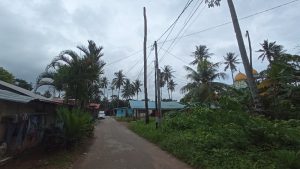 Banyak Pohon Kelapa Mati di Kelurahan Batubesar, Ancam Keselamatan Warga