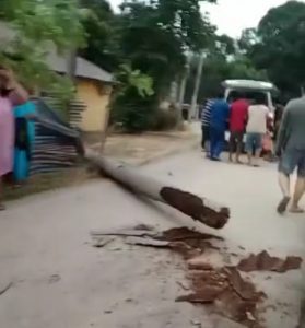 Mau ke Sekolah, Siswi SMAN 15 Nongsa Batam Tewas Tertimpa Pohon Kelapa
