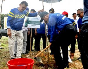 Hijaukan Kota Batam, BP Batam Mulai Gelar Penanaman 12.000 Pohon Jati Emas