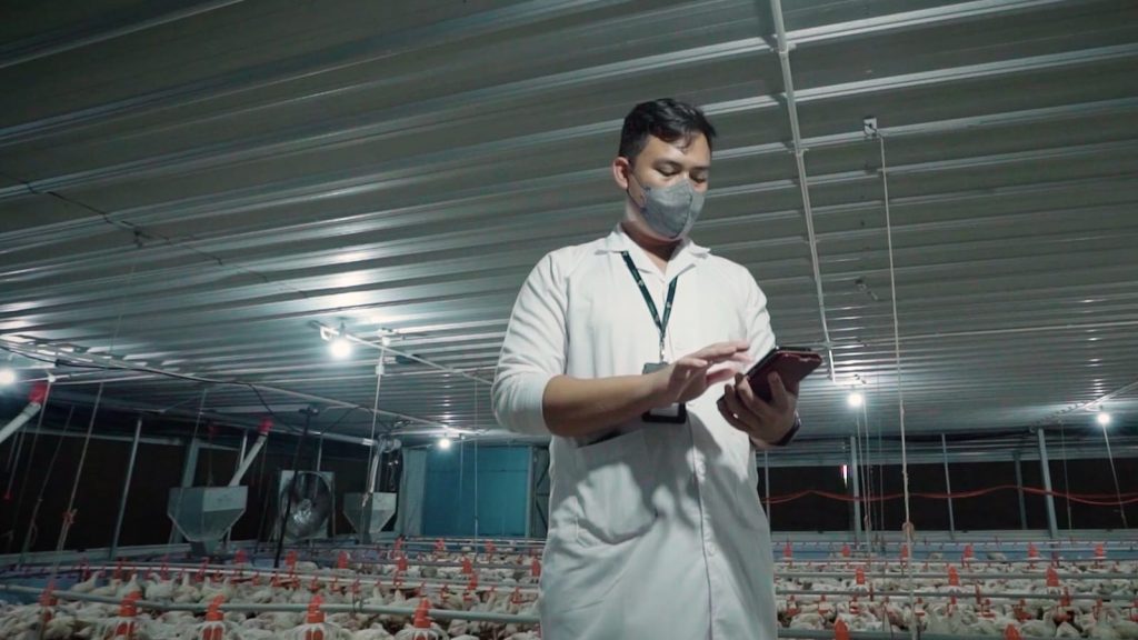IoT Smart Poultry Telkom Berhasil Turunkan Separoh Biaya Operasional Peternak Ayam