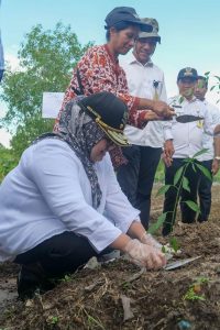 Marlin Janji 200 Bibit Cabai untuk Warga Galang, Diberikan Dua Kali Lipat