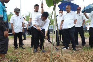 Kepala BP Batam Tinjau Pertumbuhan Pohon Kayu Jati Emas