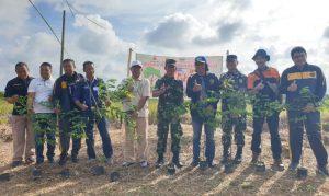 PWI Kabupaten Bintan Barsama Kodim Tanjungpinang dan PT SBP Tanam 1.000 Pohon di Jalan Lintas Barat