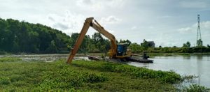 400 Hektare Luasan Waduk di Batam Tertutup Enceng Gondok, Pembersihan Terus Dilakukan