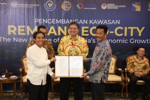 Program Pengembangan Pulau Rempang Diluncurkan, Kepala BP Batam Optimistis Realisasi Investasi Meningkat
