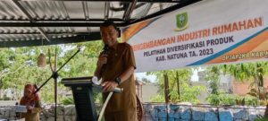 Bantu Ekonomi Keluarga, Pemkab Natuna Tingkatkan Keahlian Emak-emak