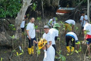 Dalam Rangka Hari Lingkungan Hidup Sedunia, PLN Batam Tanam Bibit Mangrove dan Pungut Sampah di Desa Wisata Kampung Terih