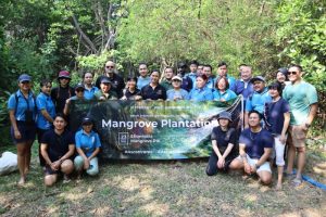 Rayakan Hari Mangrove Sedunia, Ascott Indonesia Tanam Bibit Bakau di Pantai Jakarta