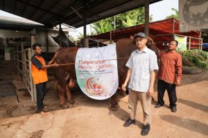 Idul Adha 1444 H, TelkomGroup Distribusikan 1.000 Hewan Kurban ke Seluruh Indonesia