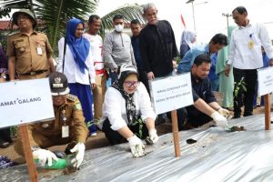 Bisa Hemat Uang Belanja & Ampuh Tangkal Inflasi, Marlin Ajak Tanam Cabai di Rumah