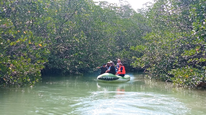 Upaya Yayasan Citramas Menjaga Kelestarian Hutan Mangrove di Sungai Nongsa, Melalui Patroli Rutin hingga Pantauan Udara