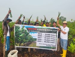 PWI Kepri dan Pecinta Mangrove Jepang Tanam Bakau di Bintan