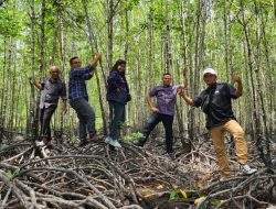 Sambut HPN 2024, PWI Kepri Siapkan Penanaman 50 Ribu Bibit Mangrove