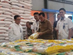 Tekan Harga Beras, TPID Kepri Akan Lakukan Operasi Pasar