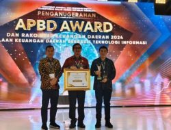 Pemkab Natuna Raih APBD Award Kemendagri