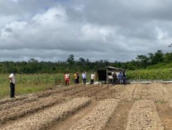Gelorakan Semangat Ketahanan Pangan, Polres Natuna Olah Lahan Kosong untuk Tanam Jagung