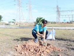 PLN Batam Tanam Pohon di Gardu Induk Tanjung Kasam Dalam Peringatan Bulan K3 Nasional