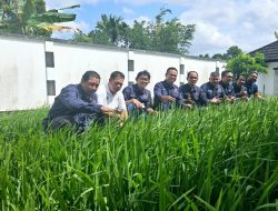 PWI Kepri Komitmen Dukung Program Ketahanan Pangan, Tinjau Sawah Percontohan di Tanjungpinang