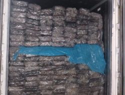 Puluhan Ton Produk Perikanan Natuna Dikirim ke Jakarta Jelang Idul Fitri, Karantina Kepri Perketat Pengawasan