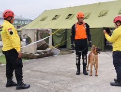 Dimas Prasetiyo, Rescuer Muda Natuna Raih Penghargaan sebagai Pawang Anjing SAR Terbaik Nasional