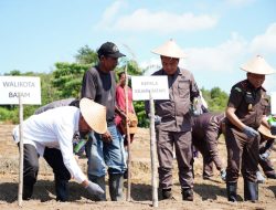 Sekda Jefridin Tanam Jagung Bersama Kejari Batam, Ini Target yang Ingin Dicapai