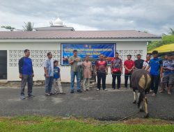 Wujud Kepedulian TNI AU, Lanud RSA Natuna Berkurban dan Serahkan Hewan Kurban ke Warga