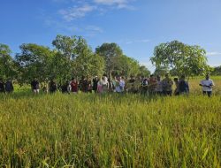 Panen Raya di Serasan Timur, Pemkab Natuna Serap Aspirasi Petani