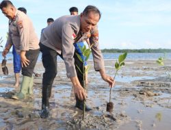 Sambut Hari Bhayangkara ke -79, Polres Natuna Tanam Mangrove di Pesisir Rawan Abrasi