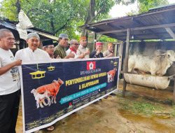 Kurban dan Kebersamaan: KKSS Kepri Tebar Kepedulian di Batam
