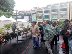 Bonsai Puluhan Tahun Tampil di Batam, Menuju ‘Batam Bonsai On Fire’?