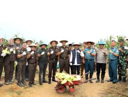 Panen Raya Jagung di Rempang Cate, Amsakar Dorong Ketahanan Pangan dan Pemberdayaan Masyarakat