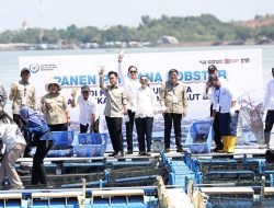 Sukses di Batam, Wapres Gibran Minta  Budidaya Lobster Dikembangkan di Daerah Lain