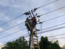 PLN Batam: Listrik Padam di Piayu Akibat Layang-Layang dan Pohon Tumbang