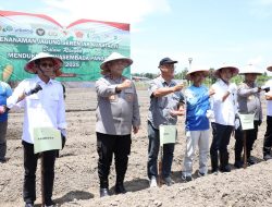Sinergi Polda Kepri dan Pemko Batam Tanam Jagung Serentak Dukung Swasembada Pangan Nasional 2025