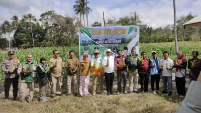 Panen Raya Jagung, Strategi Desa Batu Gajah Jaga Pangan dan Tingkatkan Pendapatan Petani