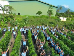 Ketahanan Pangan Jadi Prioritas, Lanud RSA Natuna Konsisten Kembangkan RSA Farm